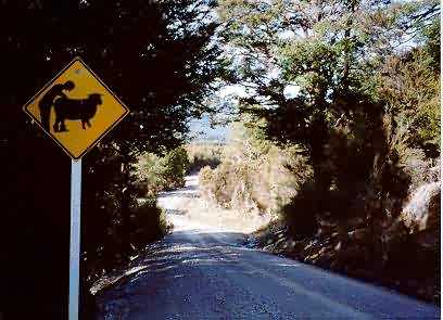 Billede